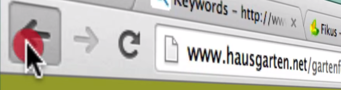 imagen de la barra de navegación de Chrome del dominio hausgarten.net