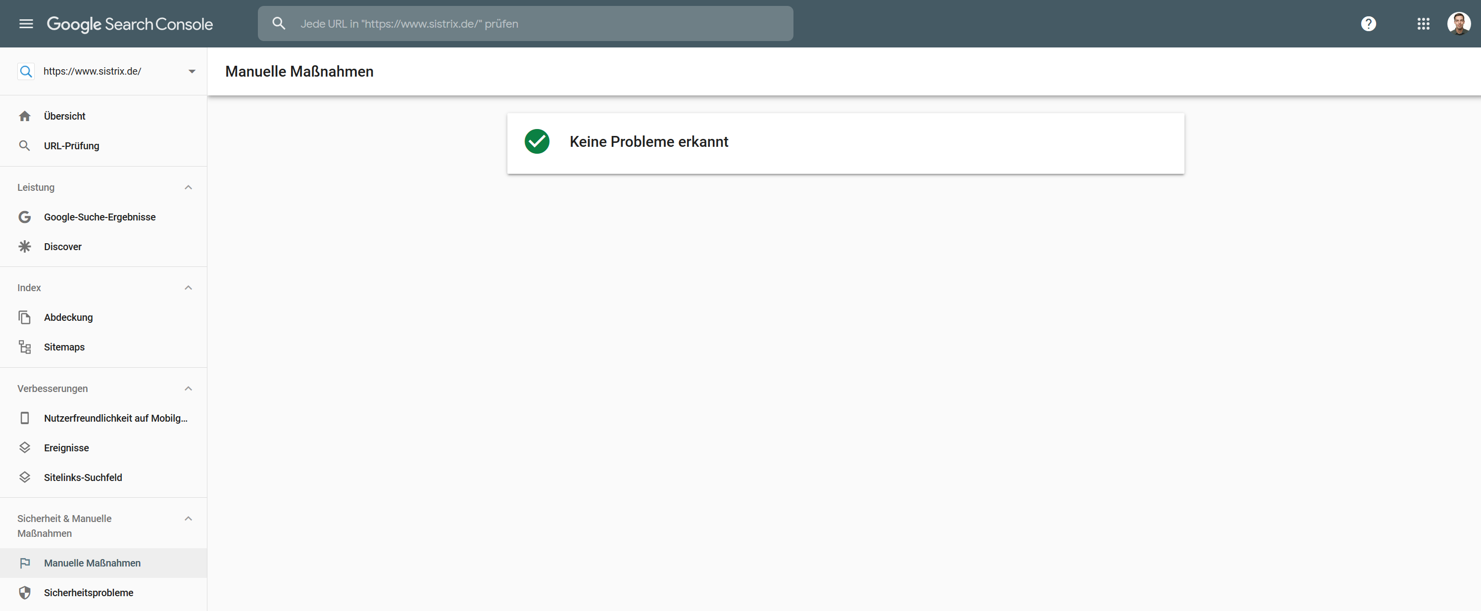 Auszug aus der Google Search Console im Menüpunkt "Manuelle Maßnahmen" für eine Domain bei der keine Probleme erkannt wurden.