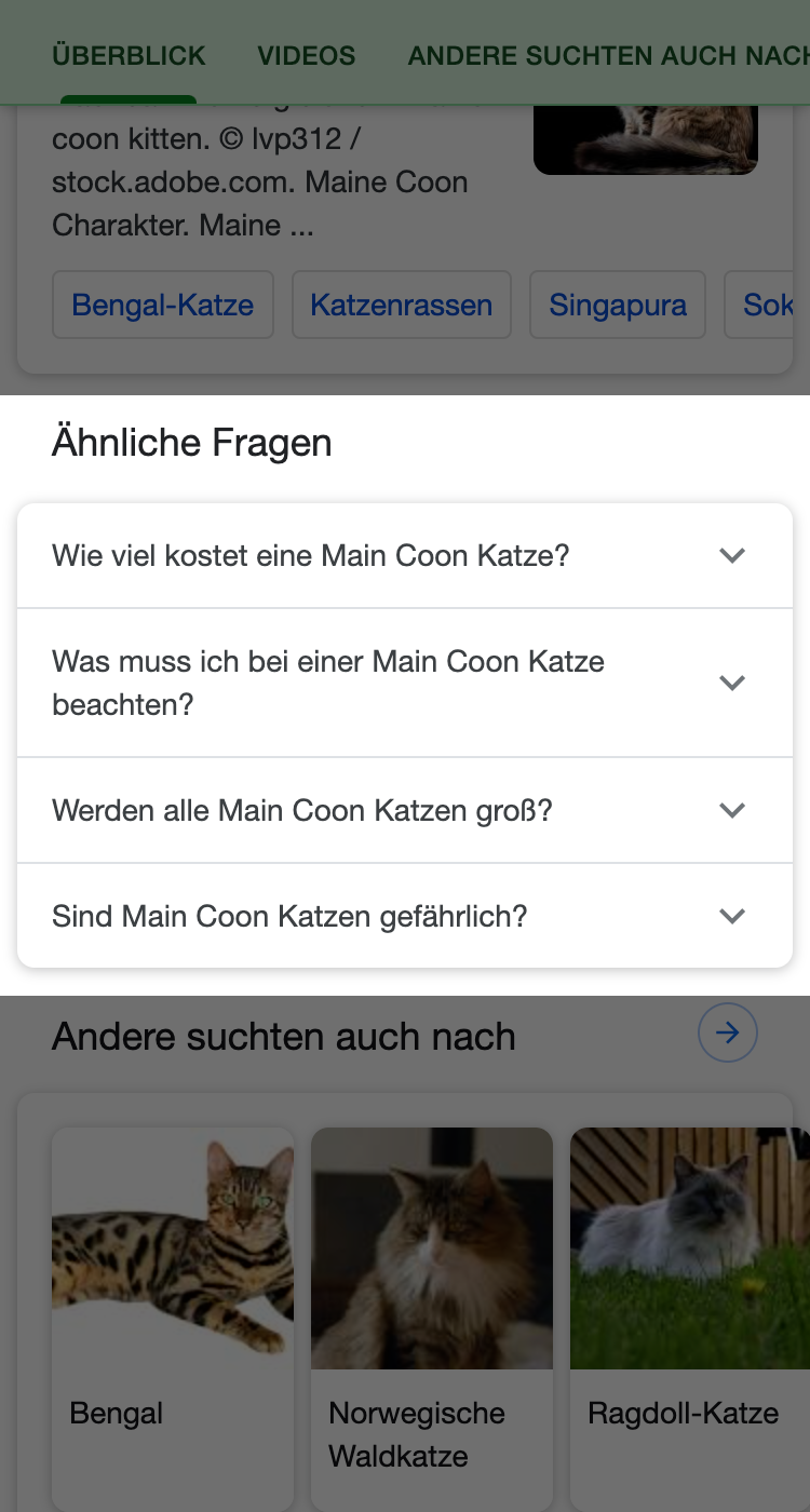 "Ähnliche Fragen"-Box in den Suchergebnissen von Google.
