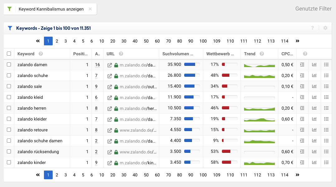 Keywords-Tabelle mit aktiviertem "Keyword Kannibalismus anzeigen"-Filter