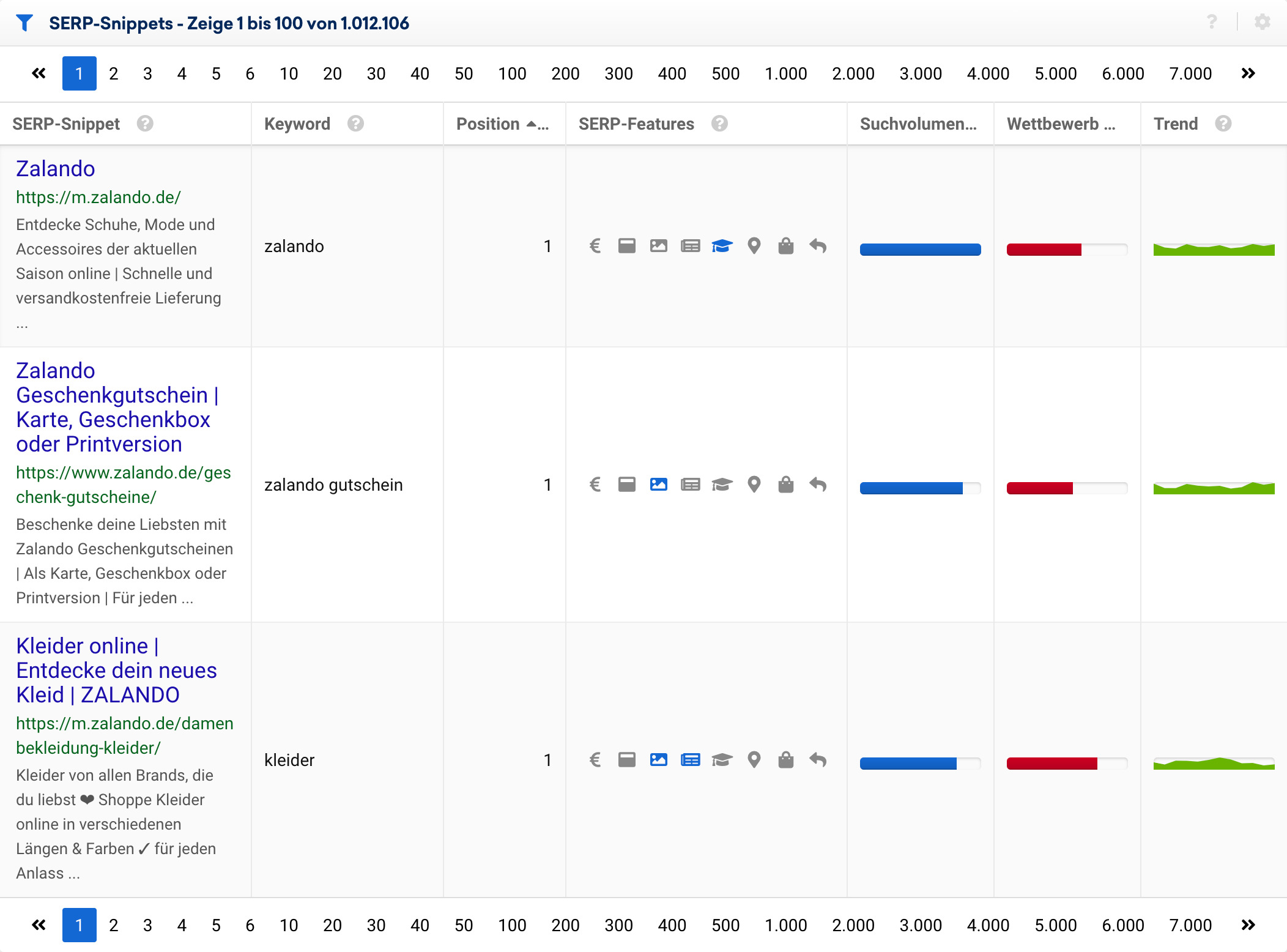 Auswertung der SERP-Snippets.