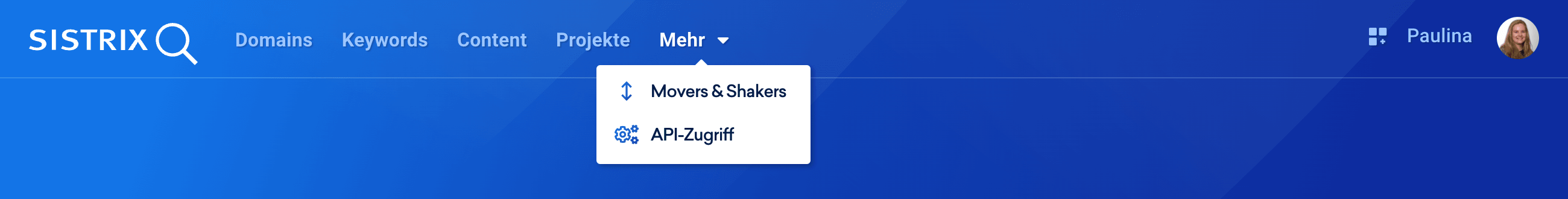 In der oberen Menüleiste in der SISTRIX Toolbox unter dem Punkt - Mehr - befinden sich die Optionen Movers&Shakers sowie API-Zugriff.