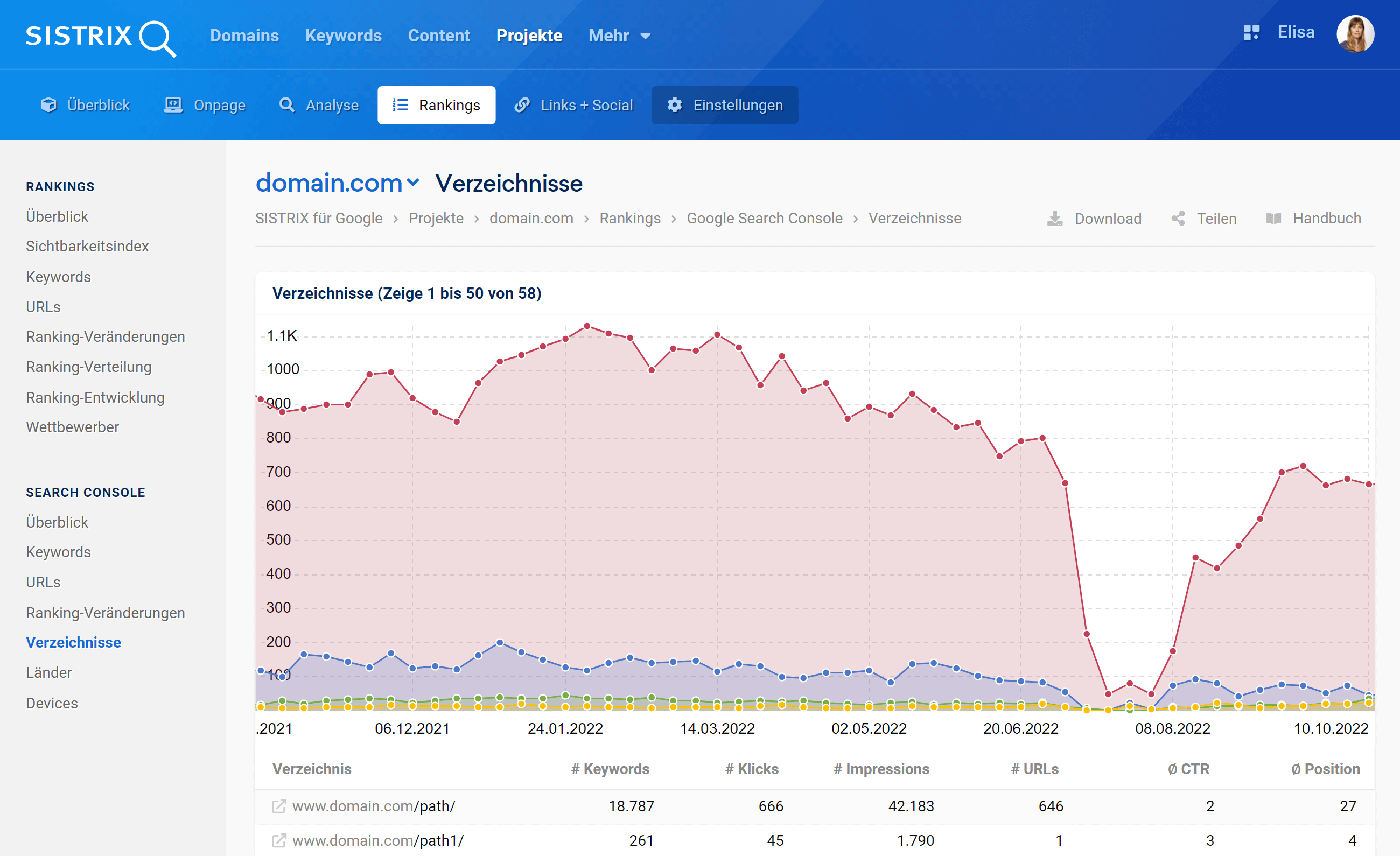 Der Bereich "Search Console - Verzeichnisse" in einem Optimizer Projekt