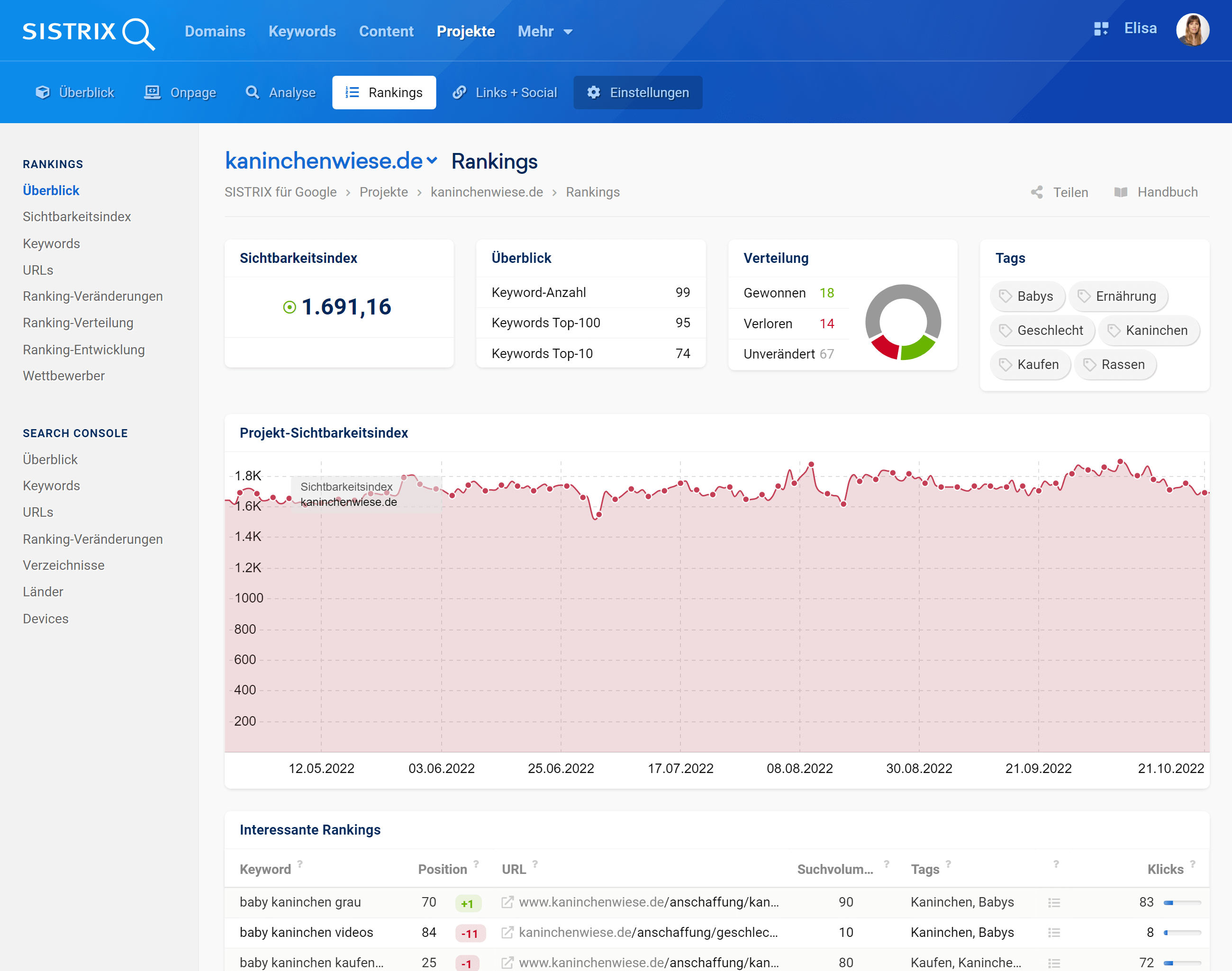 Der Bereich Rankings im SISTRIX Optimizer