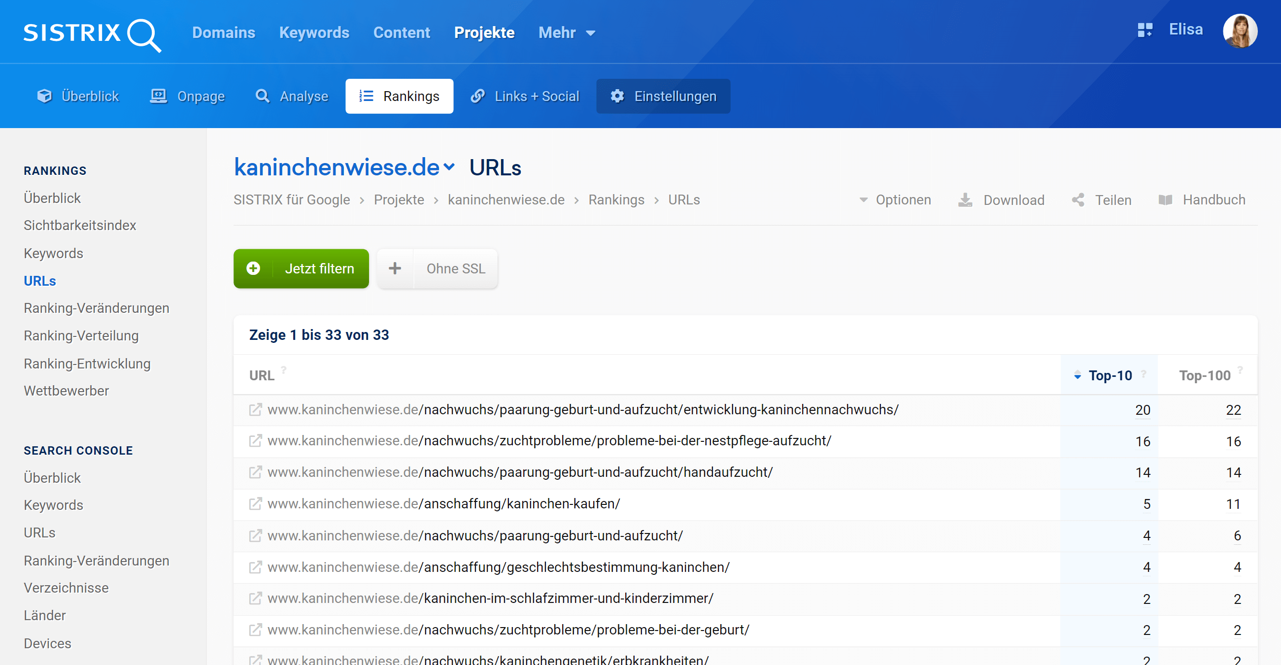 Der Bereich "URLs" in dem SISTRIX Optimizer