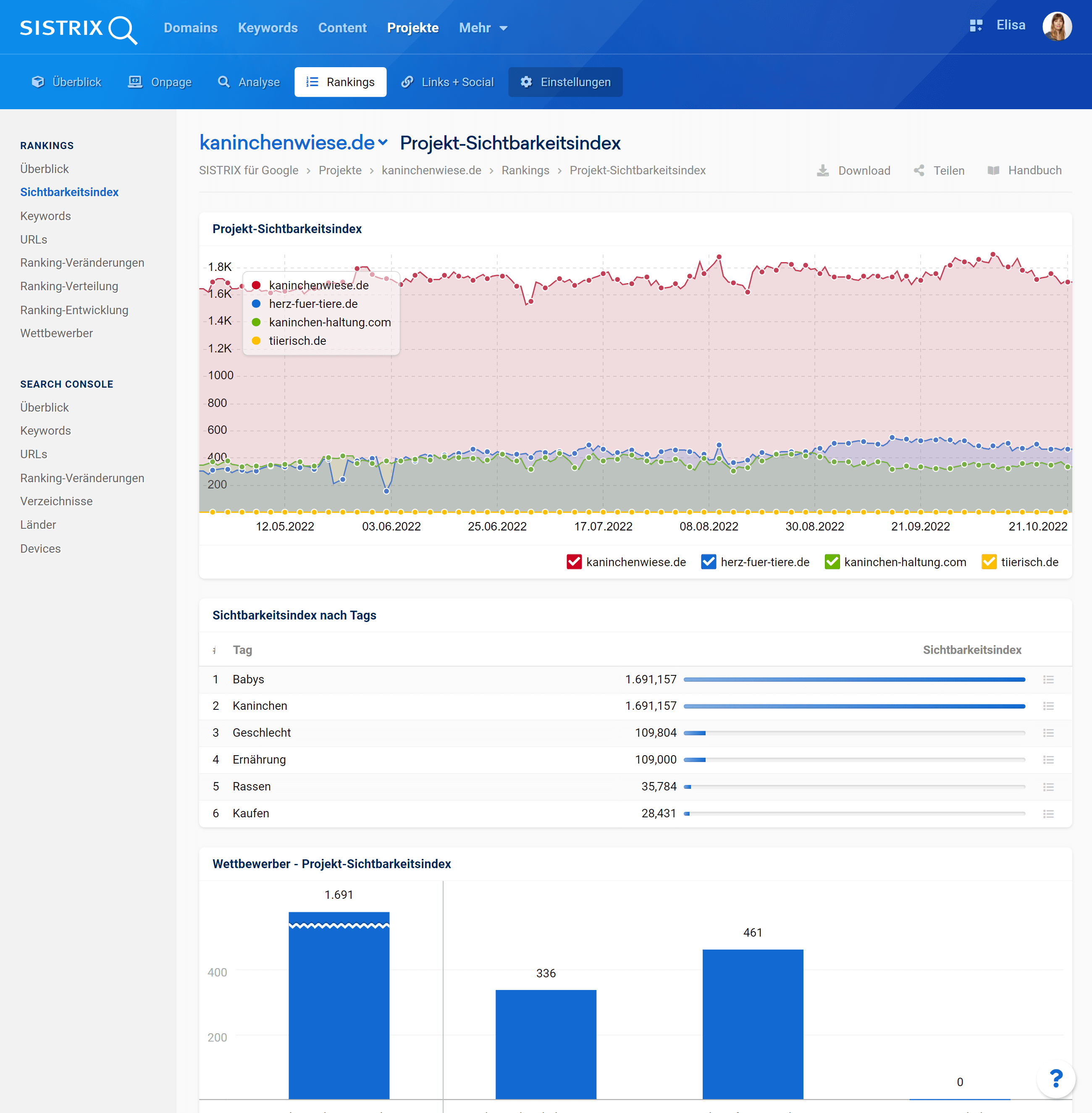 Rankings in einem SISTRIX Optimizer Projekt