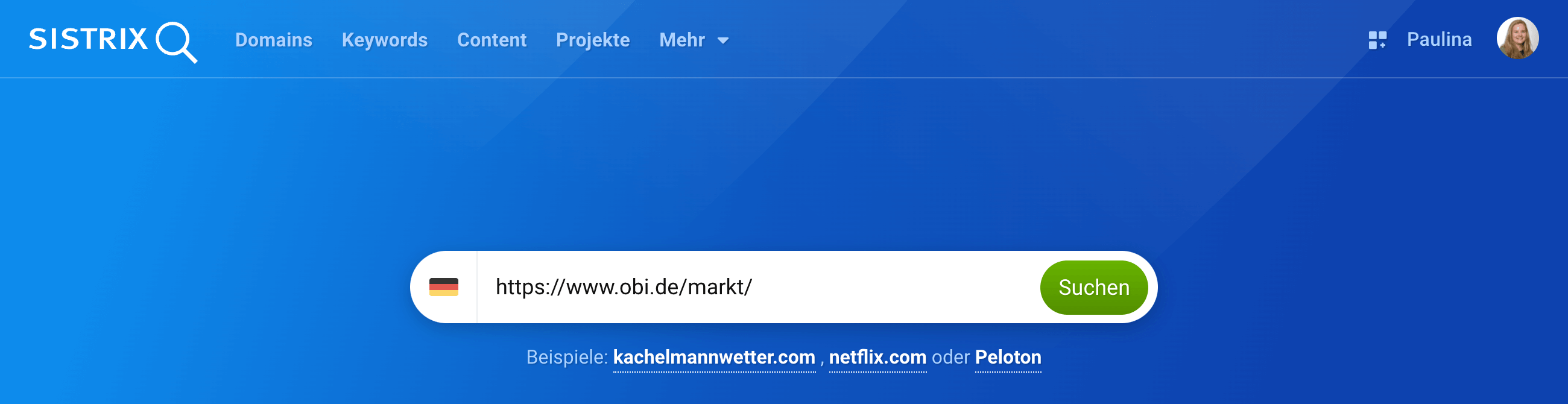 In den SISTRIX-Suchschlitz wurde das Verzeichnis https://www.obi.de/markt/ eingetragen.