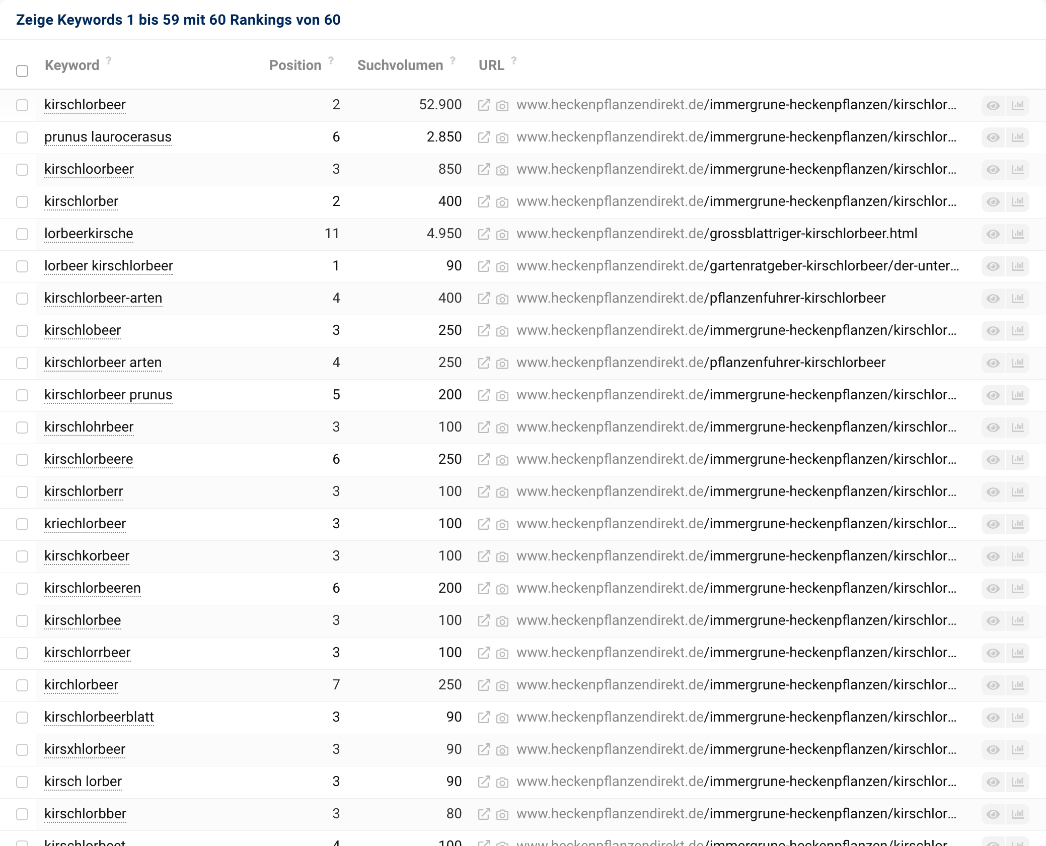 Zu den Keywords der Domain heckenpflanzendirekt.de mit dem Knowledge Graph Panel #Lorbeerkirsche zählen kirschlorbeer sowie verschiedener anderer Schreibweisen, prunus laurocerasus, lorbeerkirsche und kirschlorbeer-arten.